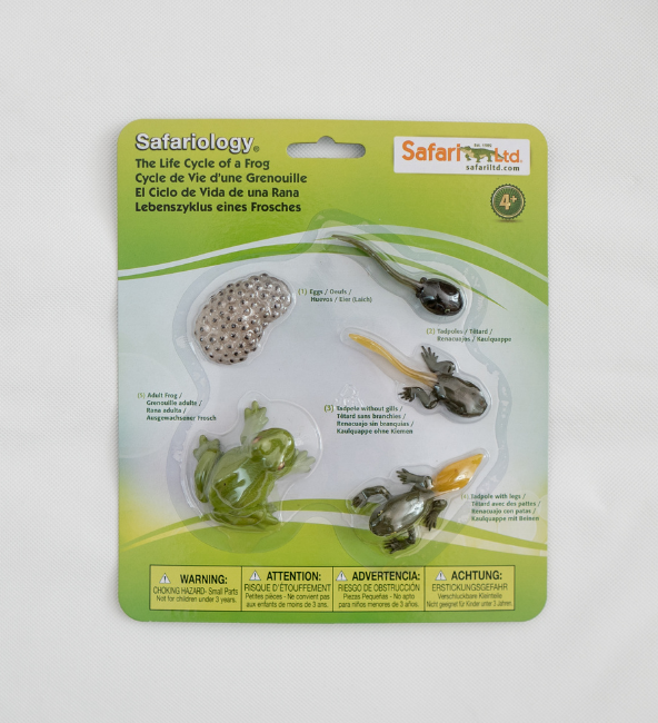 Safari Ltd - Life Cycle of a Frog